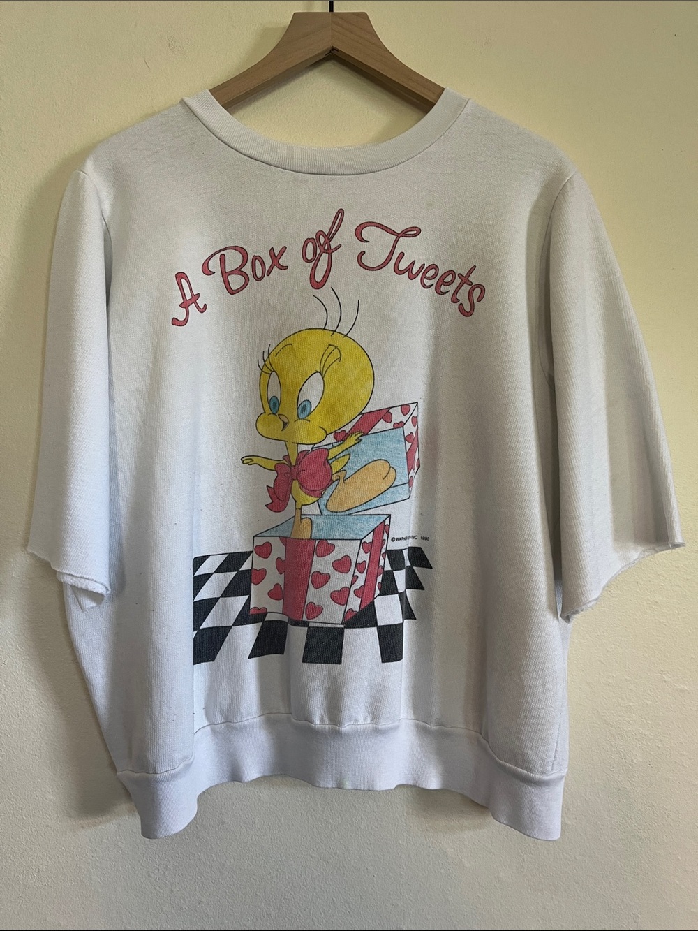 Warner Bros. Tweety 'A Box of Tweets' White Graphic Sweatshirt